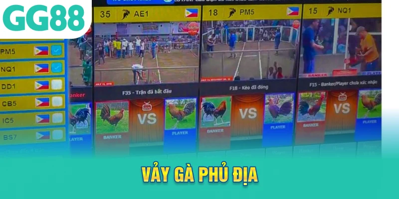 vảy gà phủ địa
